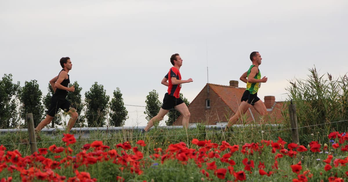 In Flanders Fields Marathon — imagem do organizador